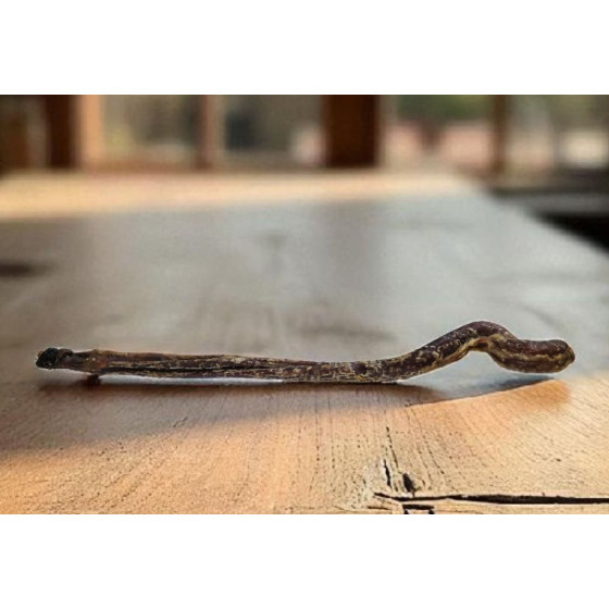 Extra Large Lamb Pizzle