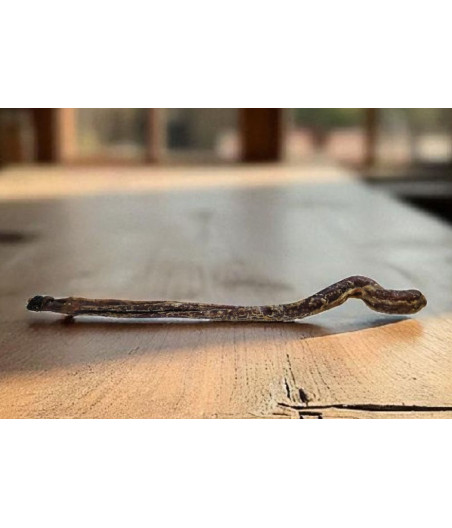 Extra Large Lamb Pizzle