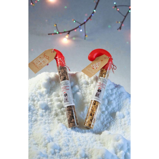 Christmas Treat Candy Cane