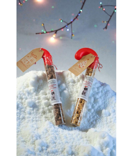 Christmas Treat Candy Cane