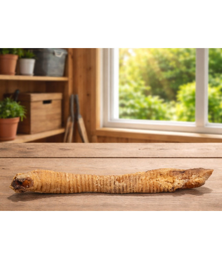 Goat Trachea Tube - Natural Dog Treat
