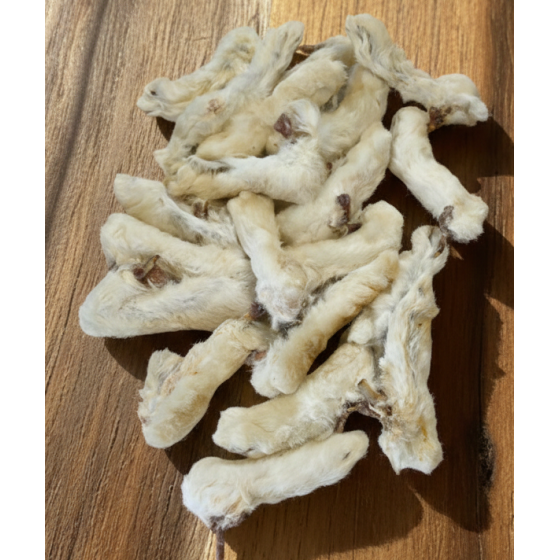 Rabbit Feet with Fur –...