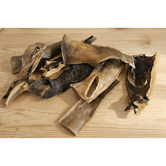 100% Natural Camel Skin Dog...