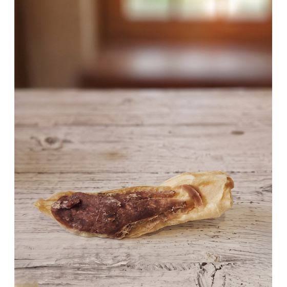 Rabbit Ears with Rabbit