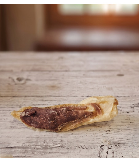 Rabbit Ears with Rabbit